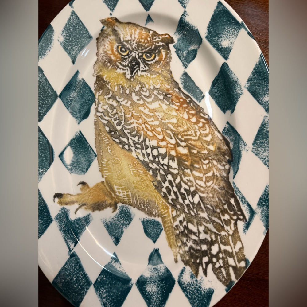 🦉 Vietri Wildlife Owl Oval Platter – Made in Italy – 18” – Wall Hanging Holes - Picture 6 of 10